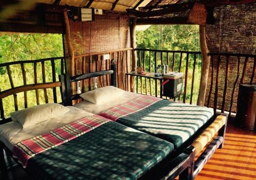 Lodge Elephant Watch Hut