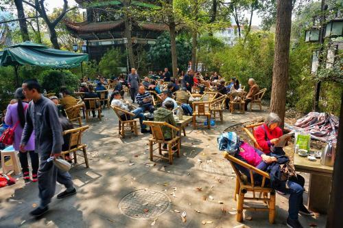 Chengdu Lazybones Hostel Templeside Poshpacker