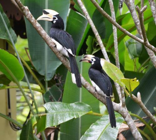 Villa Sunset Valley Holiday Houses