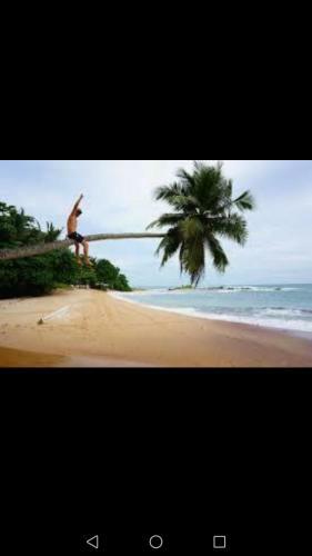Hotel Seaview Resort