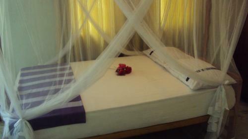 Apartamento Green Shade