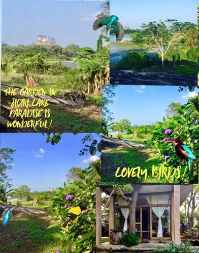 Lodge Sigiri Lake Paradise