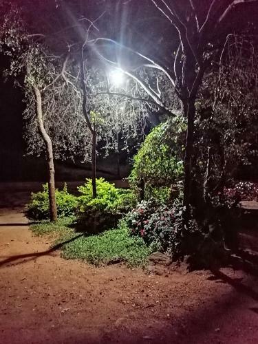 Lodge Sigiri Lake Paradise