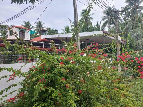 Posada Mayura Rest Inn