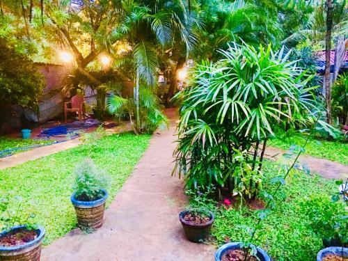 Hostal Sea Breeze Garden