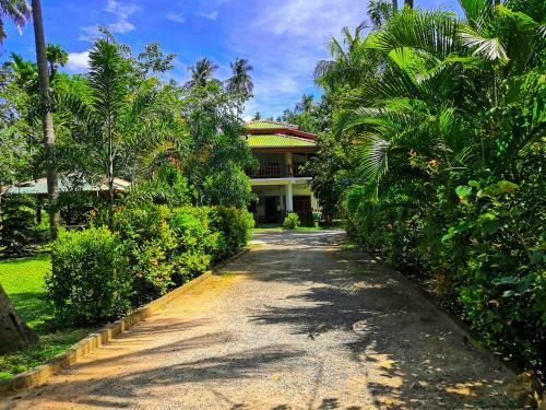 Bed & Breakfast Hotel Birds View