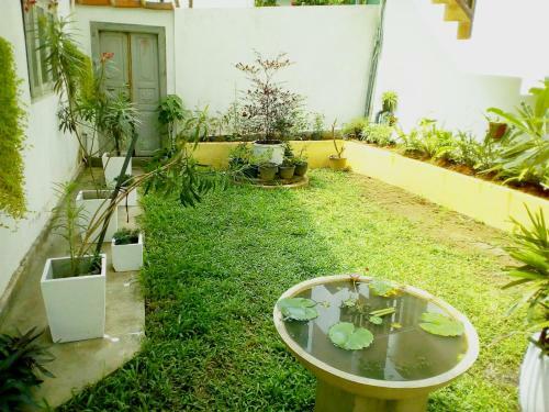 Hostal Sleepy Head Guesthouse