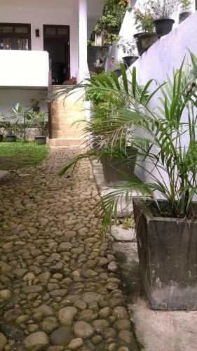 Hostal Sleepy Head Guesthouse