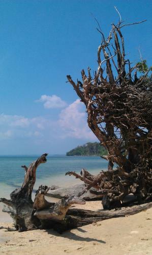 Hotel Pellicon Beach Resort
