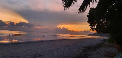 Hotel Pellicon Beach Resort