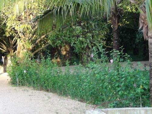 Agroturismo Tuaprodhome