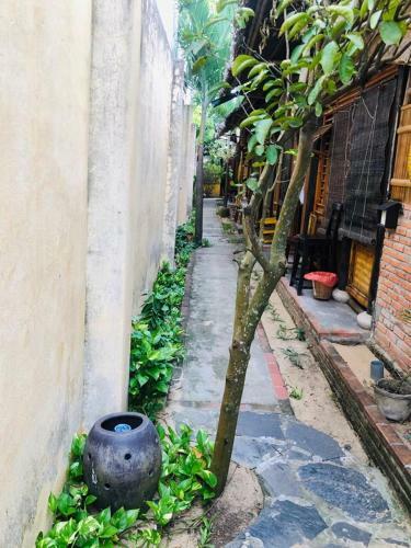 Golden Lantern Hoi An Homestay
