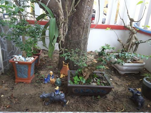 Backpacker's Home Homestay