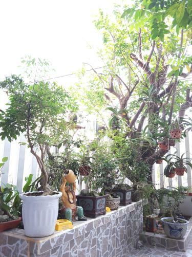 Backpacker's Home Homestay