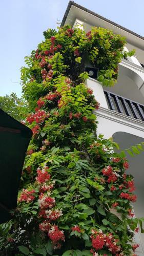 Hotel Osaka Villa