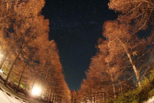 Hotel Yatsugatake Kogen Lodge