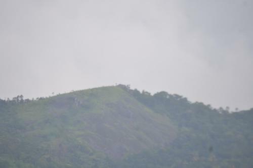 Villa Munnar Heritage Cottage
