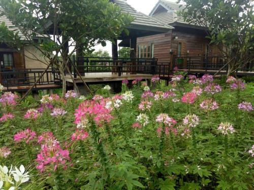 Hostal Bura Phat Resort