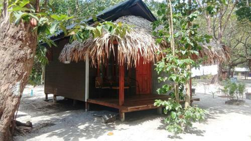 Hotel Lazy Hut