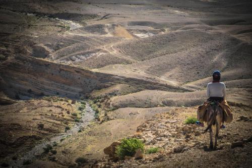 Dead Sea Adventure Hostel