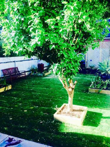 Apartamento A Rose By The Park