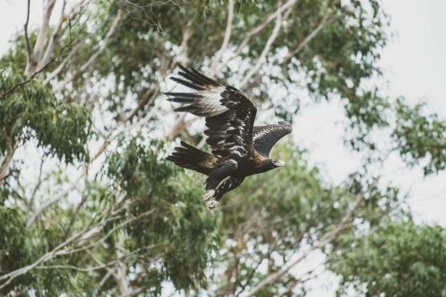 Lodge Freycinet Eco Retreat