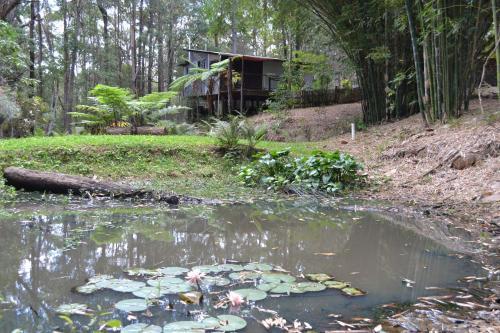 Bed & Breakfast Turmeric Gardens