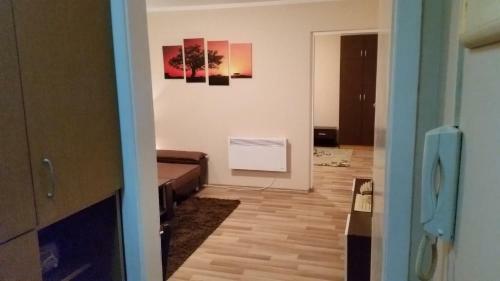 Apartment 45
