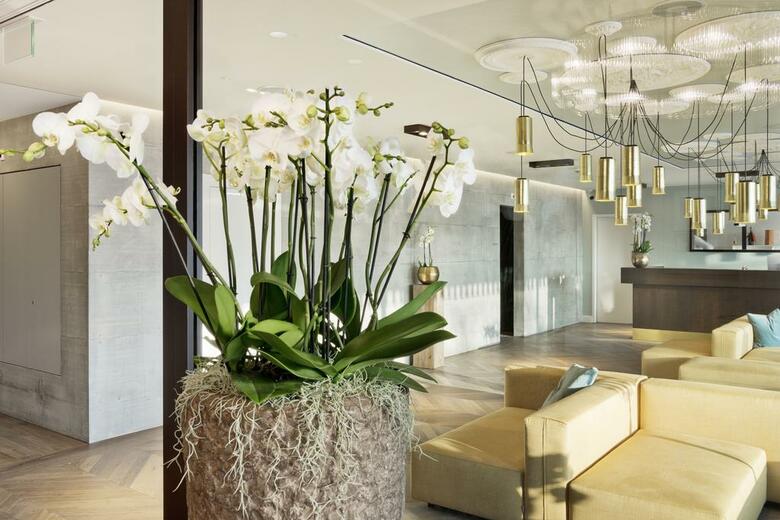 Hotel Kettenbr�cke