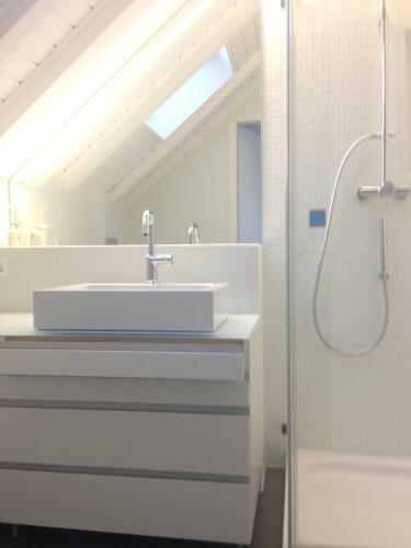 Carouge Loft Apartment