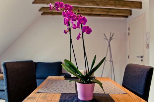 Apartamento Studio L�opold Li�ge Centre