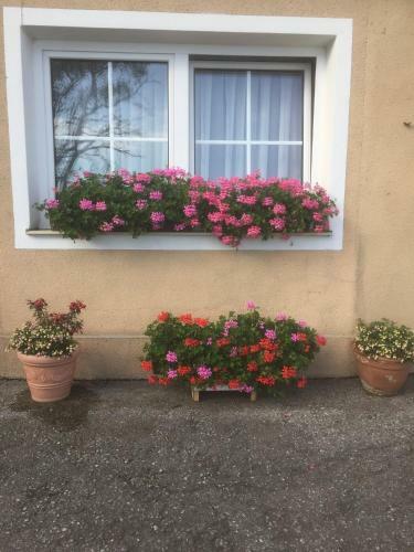 Apartamento Ferienwohnungen K�ssl