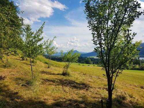 Landhaus Riess
