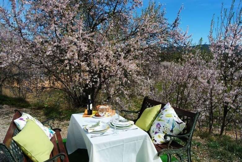 Hostal La Jayma Del Arte