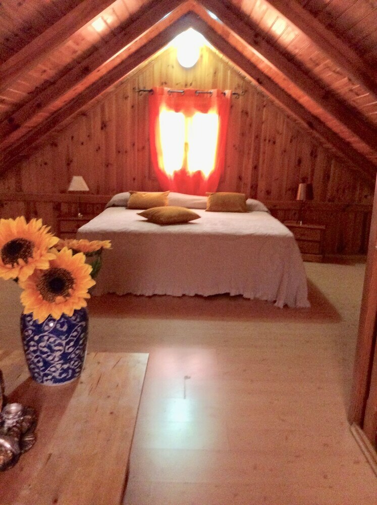 Hostal La Jayma Del Arte