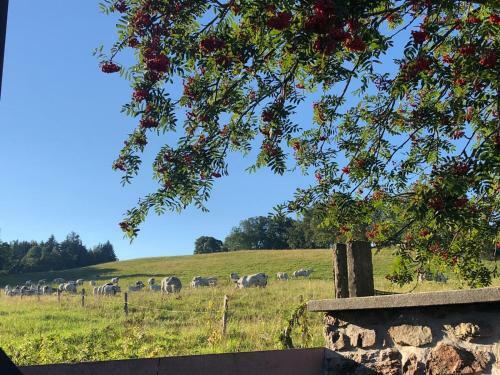 Holiday Home K?es�nov