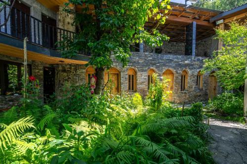 Hostal Guesthouse David Zhorzholiani