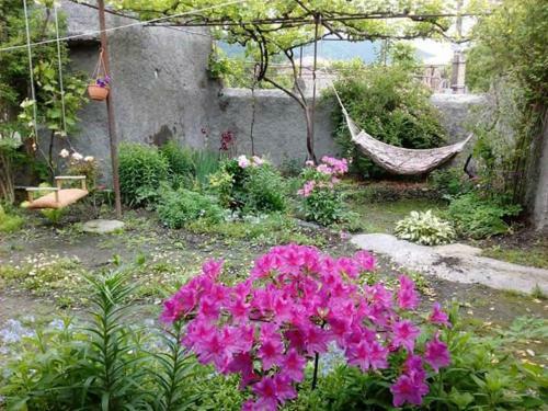 Hostal Guest House Duruji