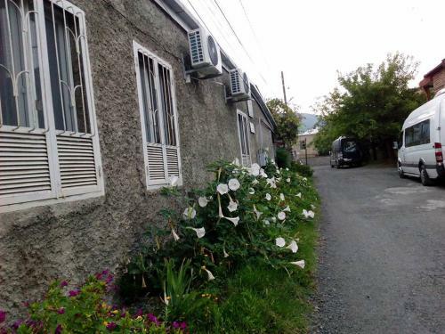 Hostal Guest House Duruji