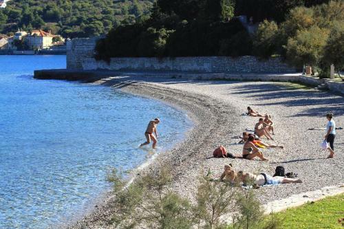 Seaside Holiday House Cove Rogacic Bay - Rogacic (vis) - 8886