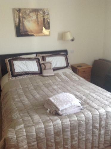 Bed & Breakfast Tregatherall Lodge