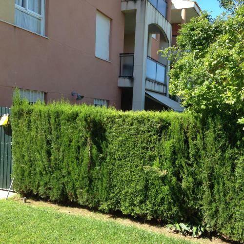 Divi Apartments Costa Ballena
