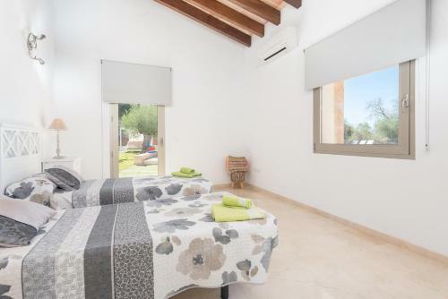 Villa Brivo
