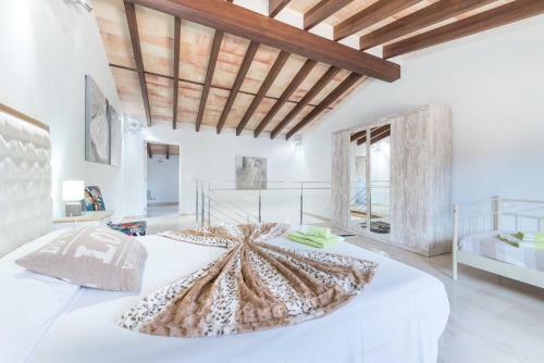 Villa Brivo