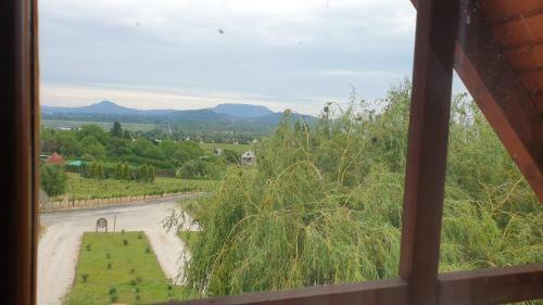 Hostal Szab� Pince Vend�gh�z