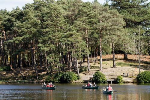 Lodge Avon Tyrrell Outdoor Activity Centre