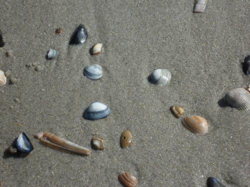Apartamento Strandleben 1