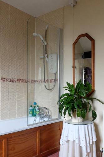Delfryn Bed & Breakfast