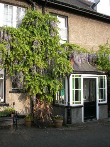 Delfryn Bed & Breakfast