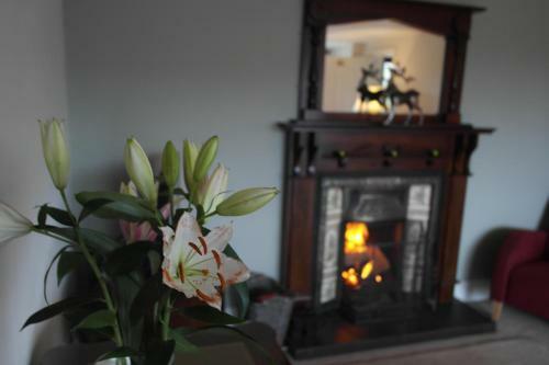 Bed & Breakfast Hazelwood Lodge